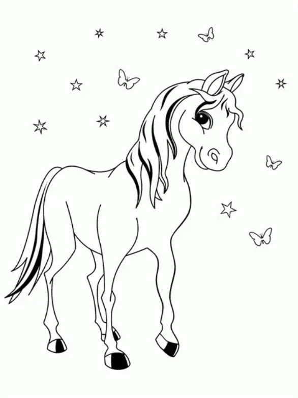 Pony