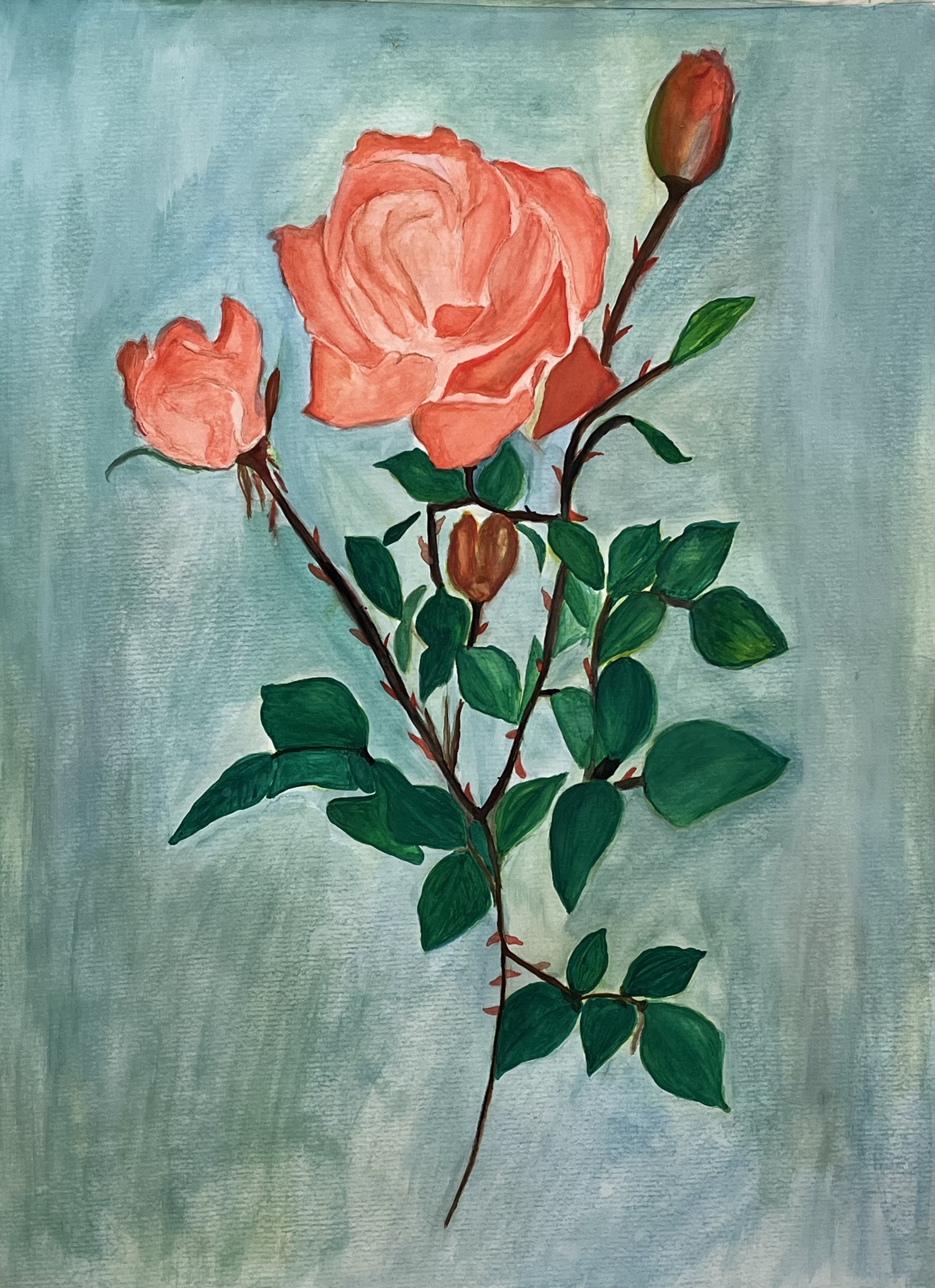 Rosa